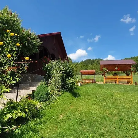 Maison d'hôtes Pensiunea Apuseni Vidra (Alba)