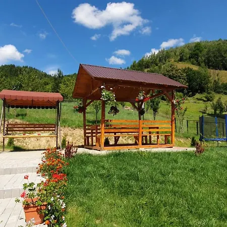 Pensiunea Apuseni 3* Vidra (Alba)