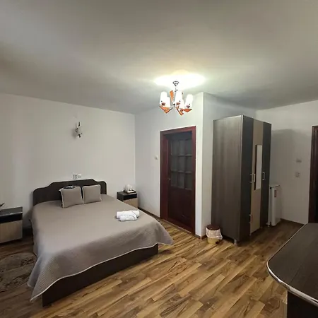 Maison d'hôtes Pensiunea Apuseni