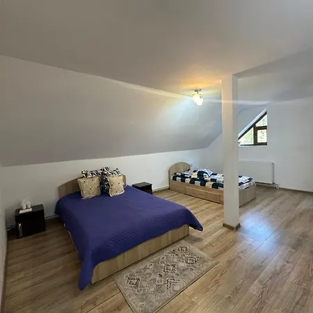 Pensiunea Apuseni Vidra (Alba)