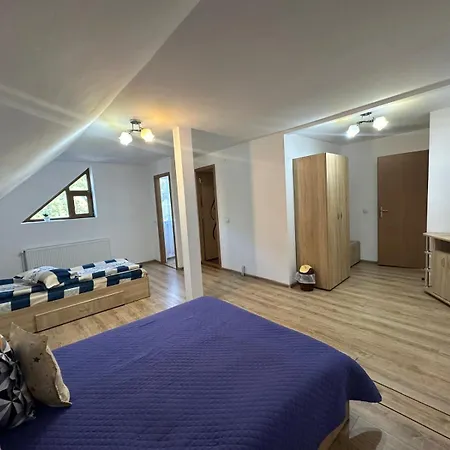 Maison d'hôtes Pensiunea Apuseni